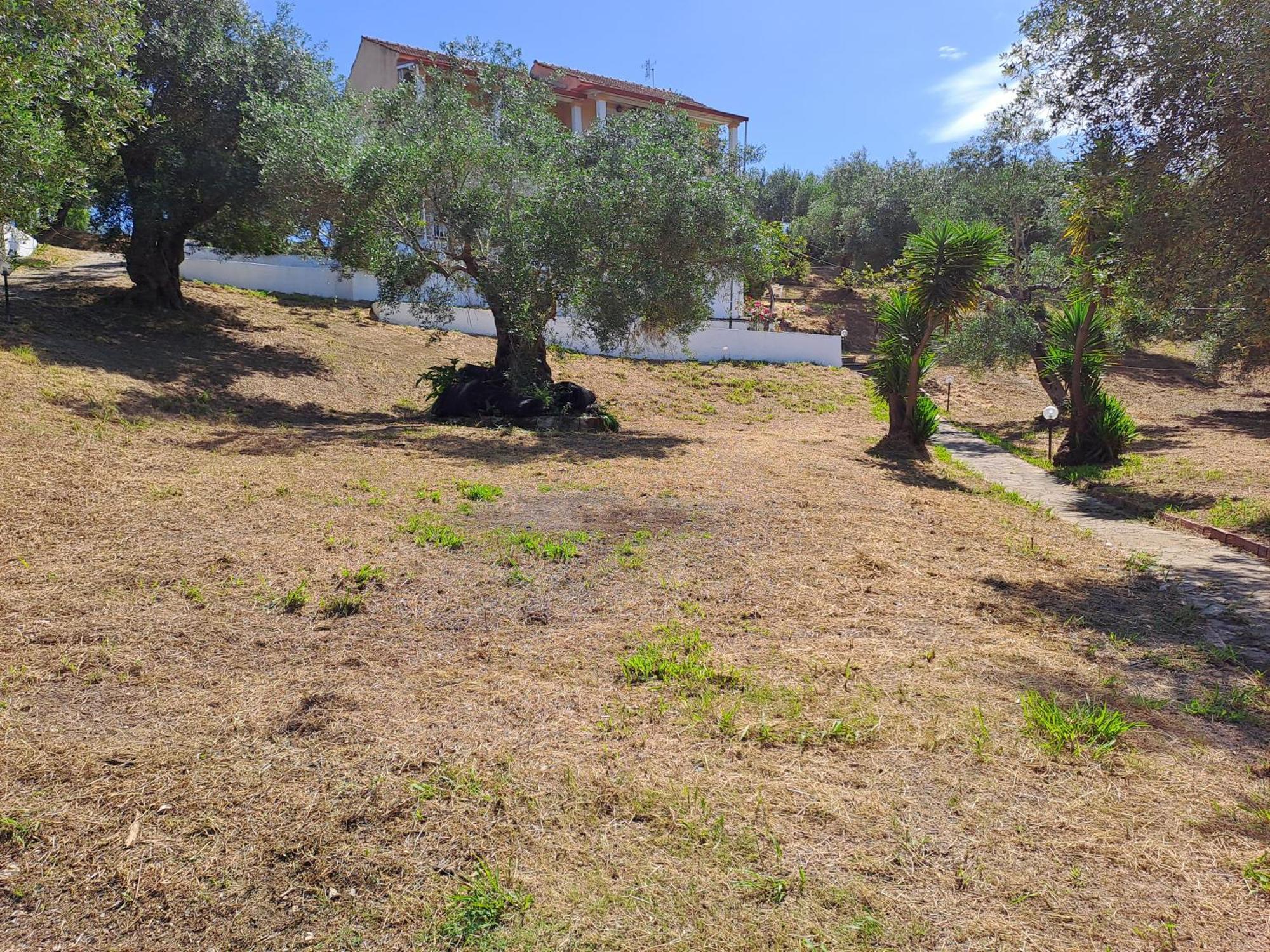 Evridiki Apartments Mesongí Dış mekan fotoğraf